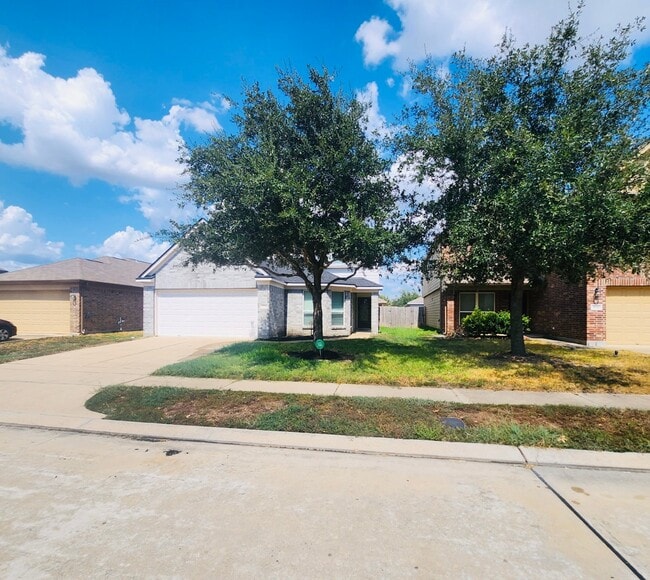 Building Photo - 3154 Thicket Path Way