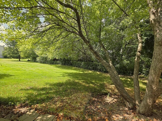 Building Photo - 3540 Blue Ridge Ct