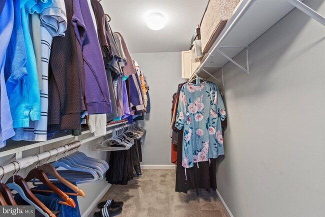 Building Photo - 2500 Clairmont View Way