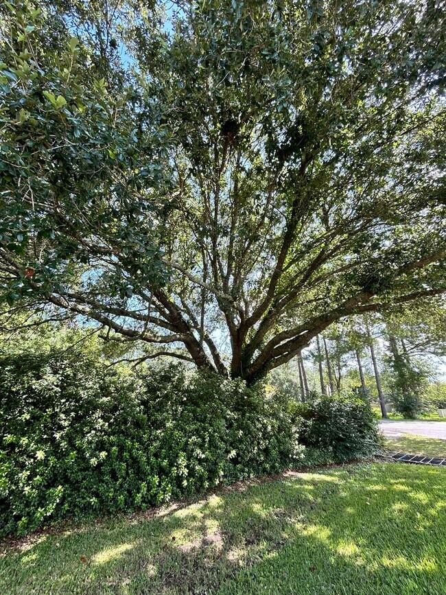 Building Photo - ****AVAILABLE NOW****