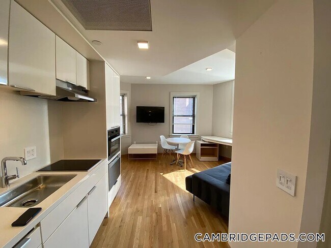 Building Photo - 115 Mt Auburn St