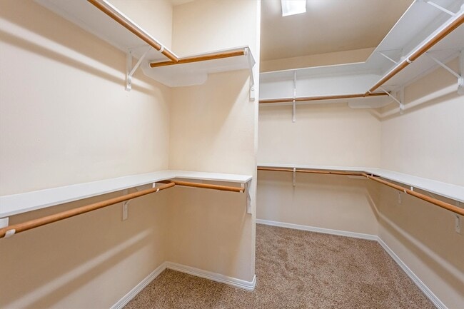 Building Photo - 25223 Hideaway Run Dr