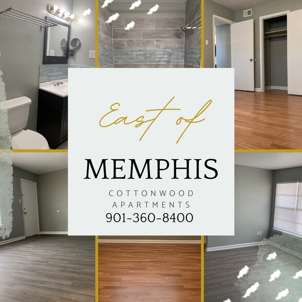 1 & 2 BEDROOMS - IMMEDIATE MOVE IN - 4634 Cotton Dr