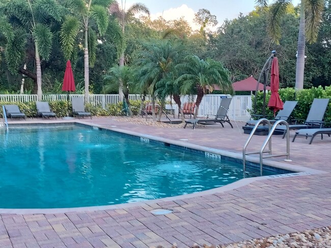 Pool area - 4510 Botanical Place Cir