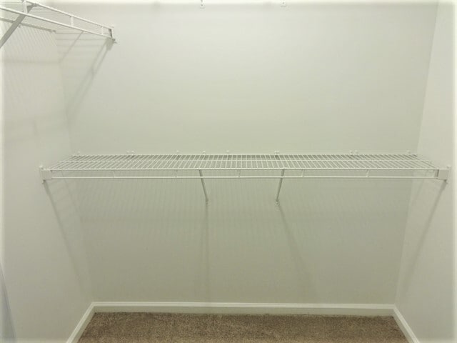 Building Photo - 11 Mills Run Ct