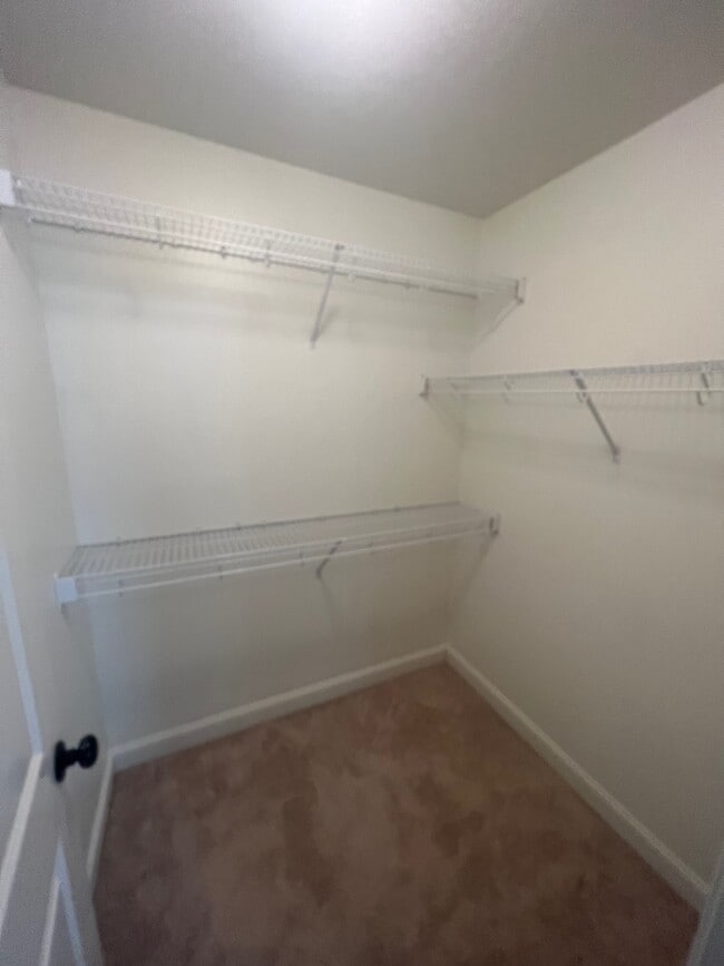 Building Photo - 2609 Sawgrass Dr