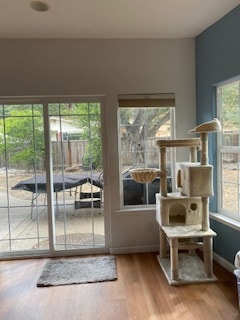 Building Photo - 74 Paso Hondo