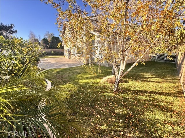 Building Photo - 2008 Calle Francesca