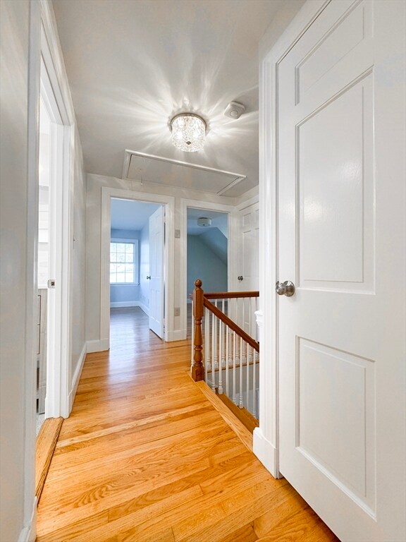 Building Photo - 40 Walter St