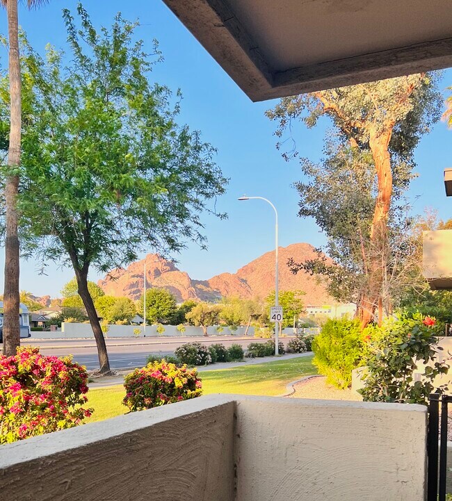 Building Photo - 4041 E Camelback Rd