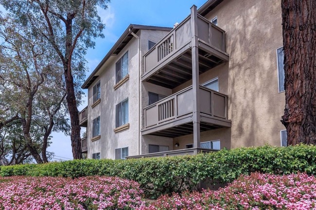 Building Photo - Trabuco Woods Apartment Homes