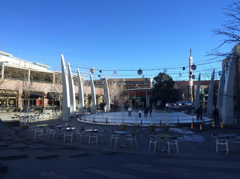 Annual Ice Rink set up - 523 S Vance St