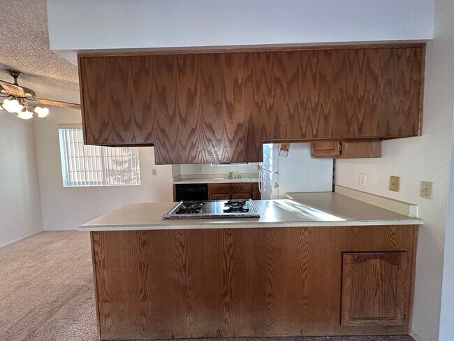 Building Photo - 2BB 2BA Condominium, Utilities Included