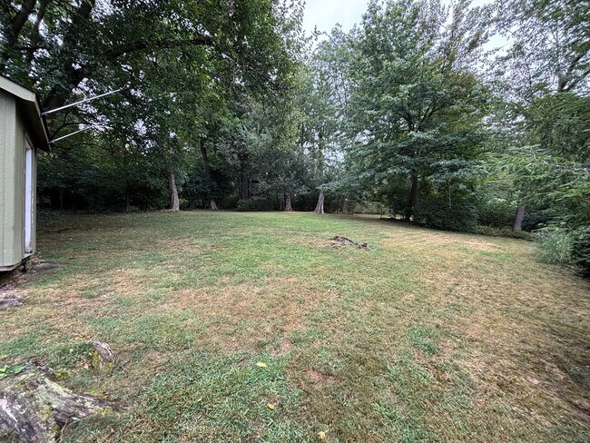 Building Photo - Beautiful 4 Bedroom Home In Mt. Lebanon!