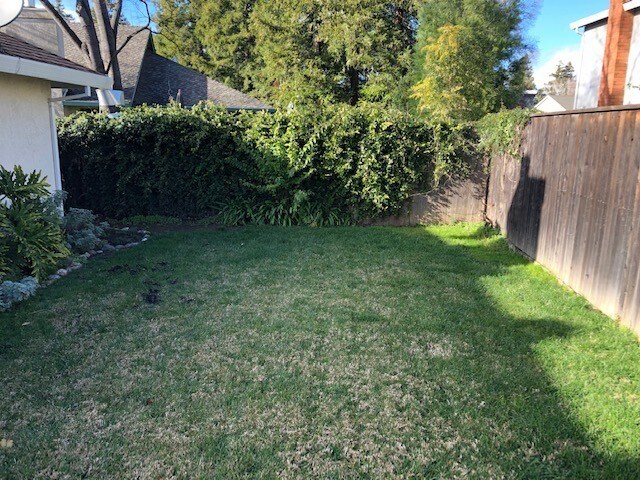 Building Photo - Nice 3bd/2bth home with private yard!