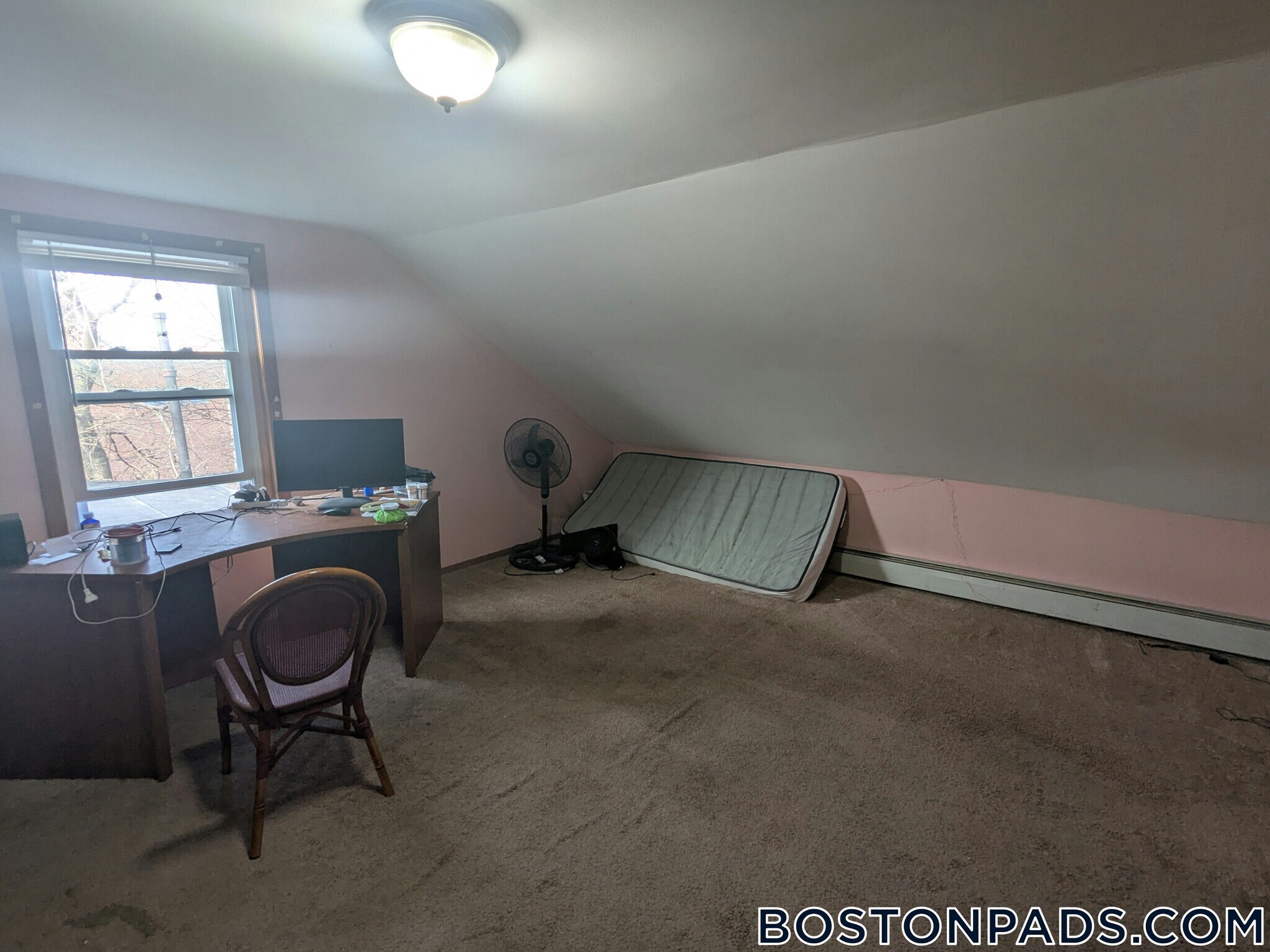 Building Photo - 247 Roxbury St