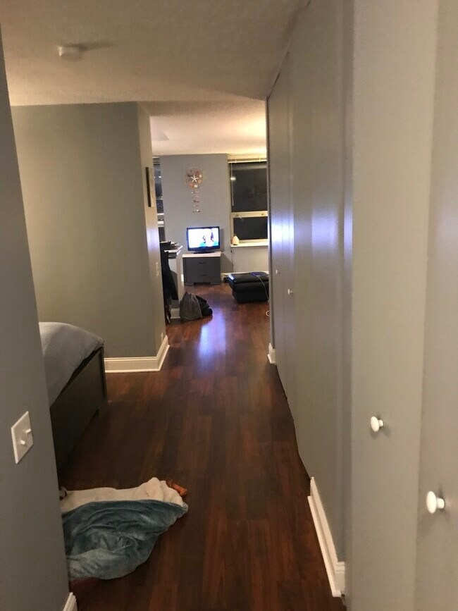 Building Photo - 474 N Lake Shore Dr