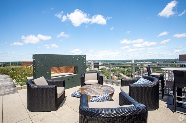 Rooftop Fireplace - Gallery Bethesda I