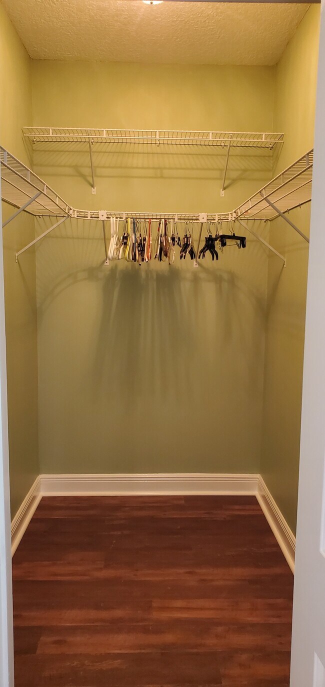 Master bedroom closet - 1028 Cherry Tree Ln