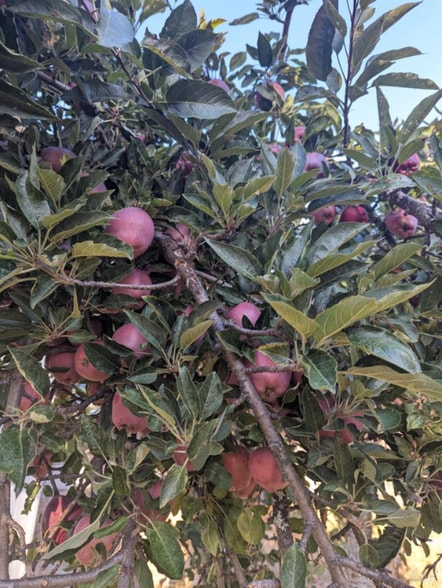 Building Photo - 25922 Tucker Ln