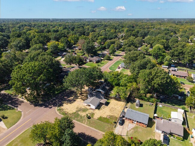 Building Photo - 3 bedroom, 2 bath recently renovated in Southaven