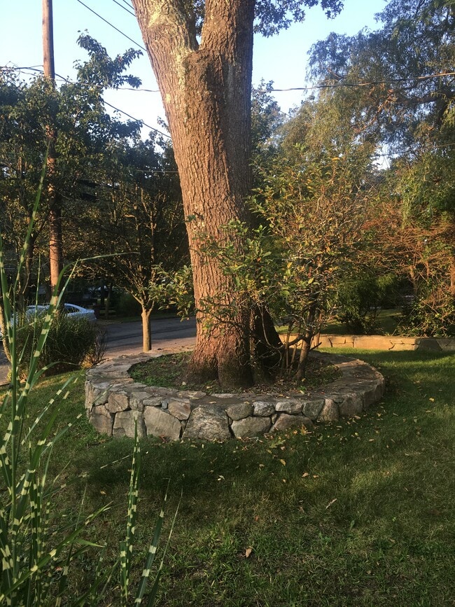 Front Yard - 71 Morningside Dr