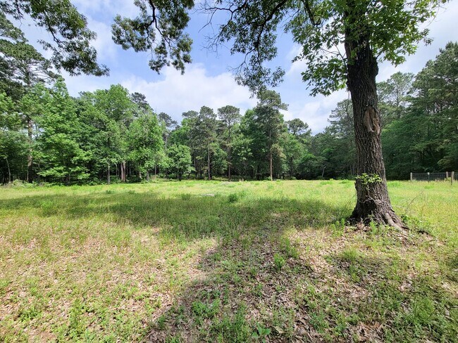 Building Photo - 20272 Forest Woods Ln