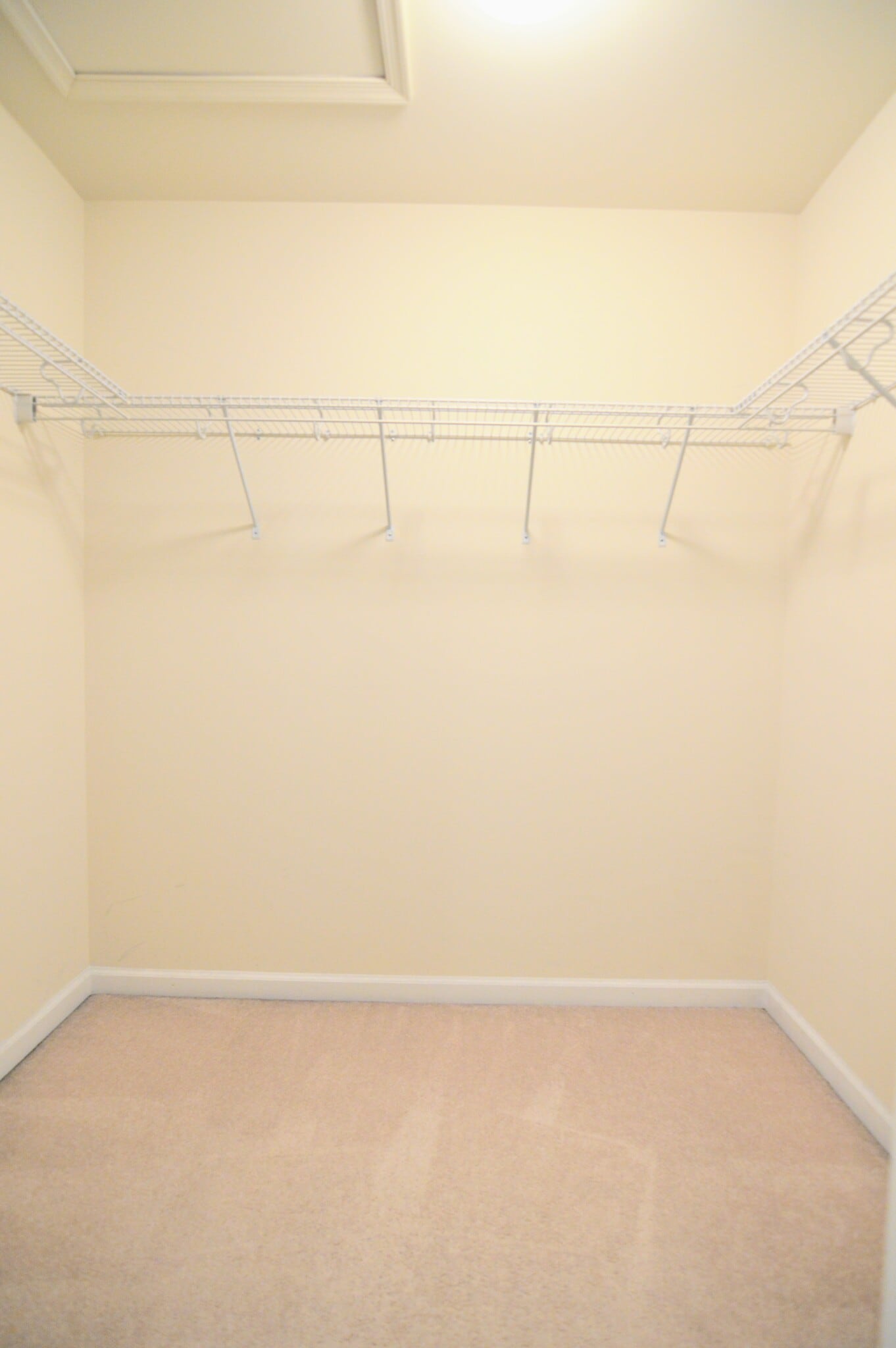 Master Walk in Closet - 11696 Palm Desert Pl