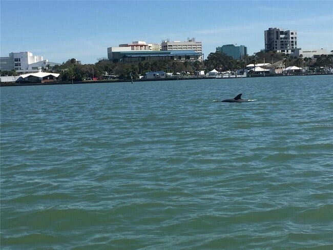 Building Photo - 1481 Drew St