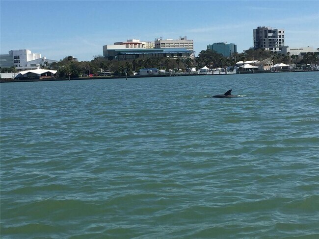 Building Photo - 824 Padua Ln