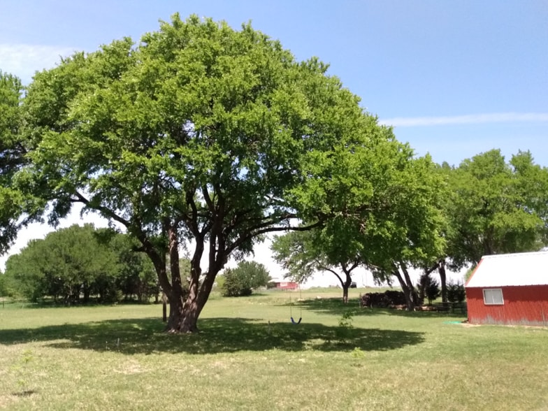 Building Photo - 739 Proctor Ln