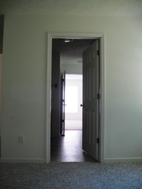 Building Photo - 247 Daniel Boone Dr Ext