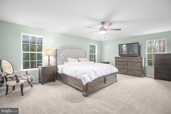 Building Photo - 71 Bismark Dr