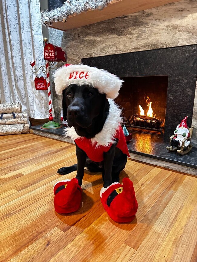 Building Photo - Good news! Making Santa's good list means free application fees until Friday!