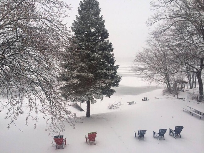 Even more beautiful in the winter time - 34175 N Hainesville Rd