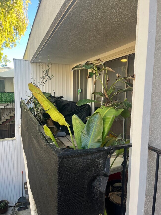 Building Photo - 8056 Redlands St