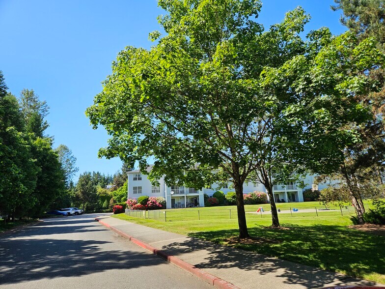 Community open space - 18621 Blueberry Ln