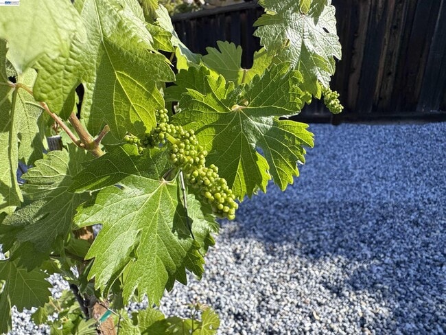 Building Photo - 7875 Kennard Ln