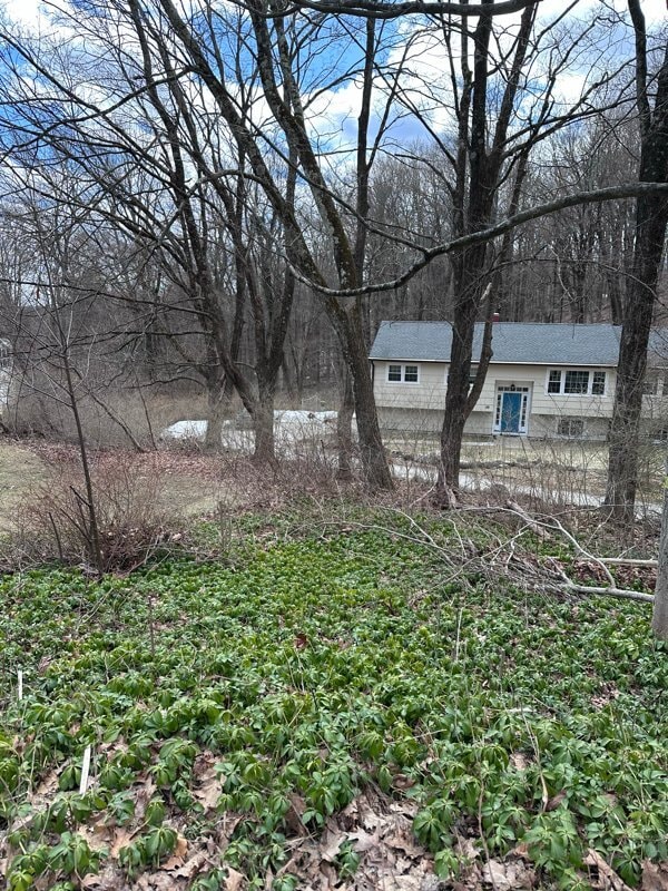 Building Photo - 59 Bear Hills Rd