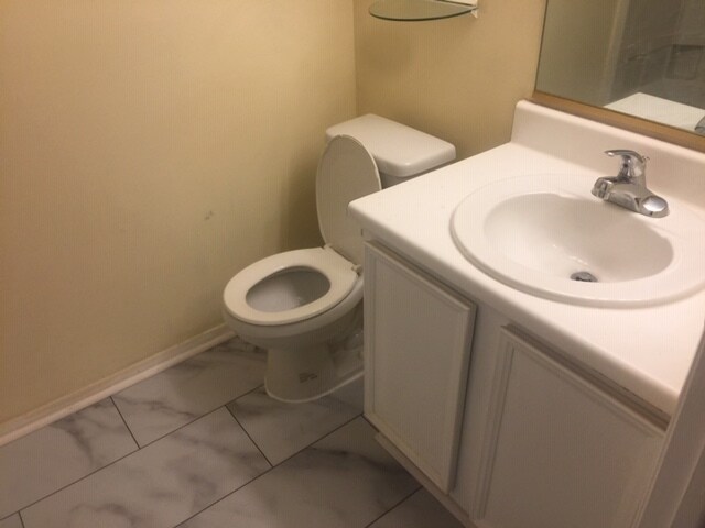 Bathroom 1-1 - 19513 Gunners Branch Rd