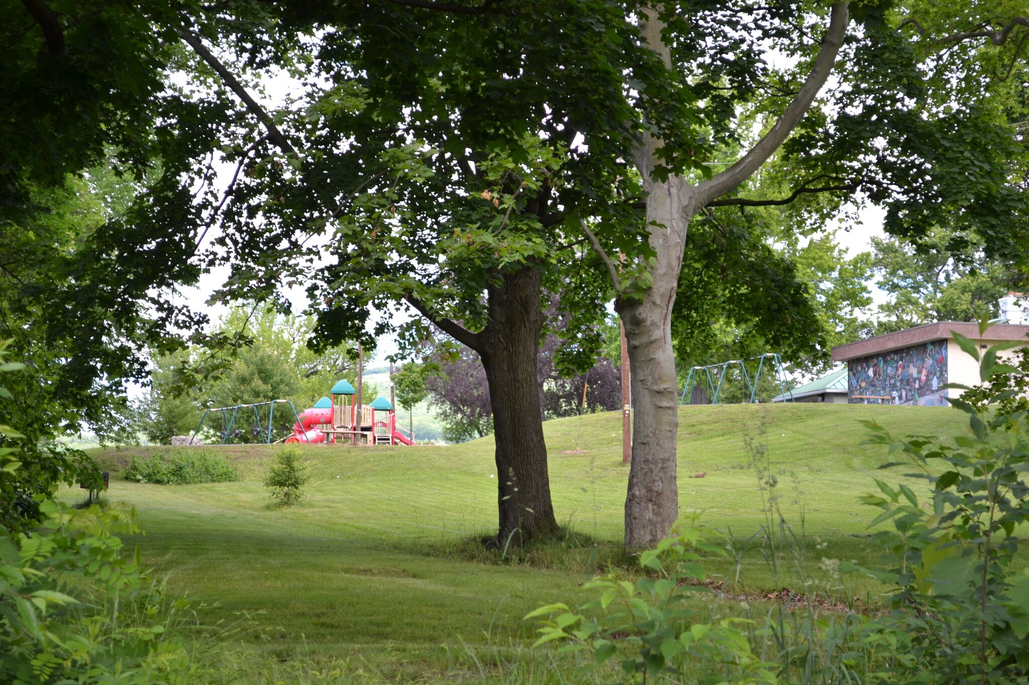 Building Photo - 2115 Hollister Ave