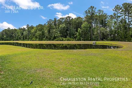 Building Photo - 704 Ladywood Dr