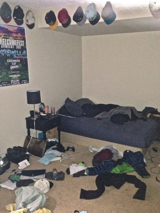 Building Photo - PRE-LEASE: 4 Bedroom 3.5 Bathroom Townhouse In Gold Run.  Walk To Campus!