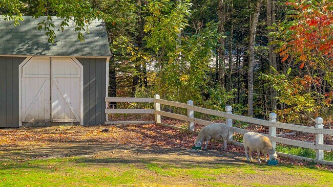 Building Photo - 24 Nordic Wilderness Rd