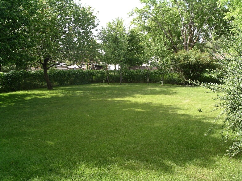 Back yard - 401 E Maxwell Ln