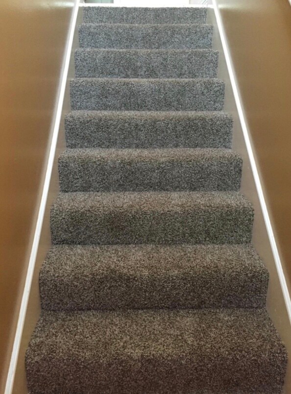 Staris - 2887 W Barnett Springs Ave