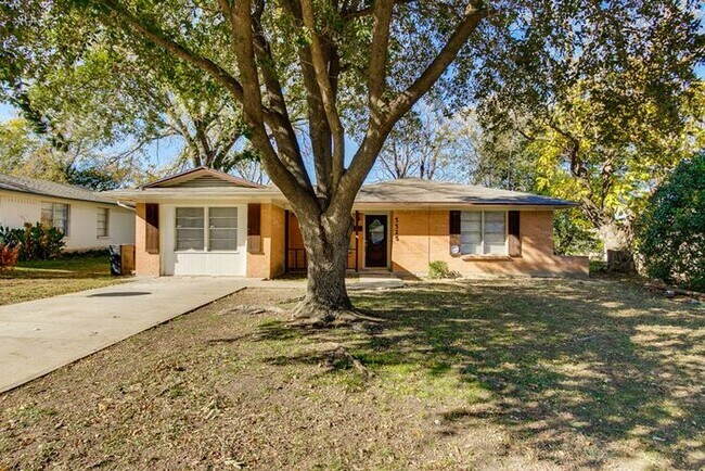Building Photo - No Application Fees*