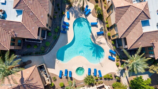 Primary Photo - 7027 N Scottsdale Rd