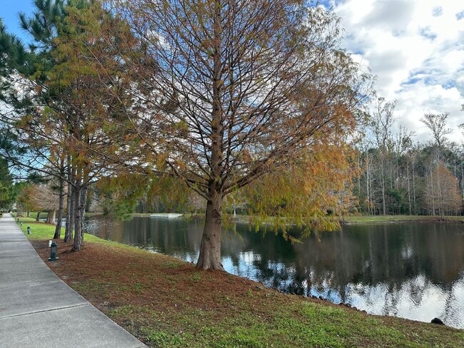 Building Photo - Spring Lake Celebration - 3 Bedroom 2.5 Bathroom House