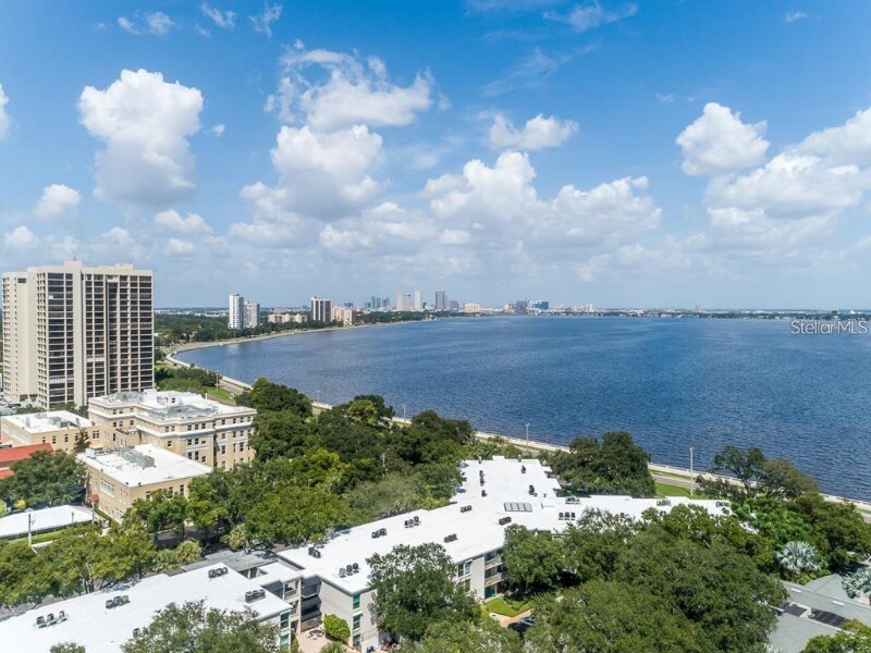 Building Photo - 3325 Bayshore Blvd